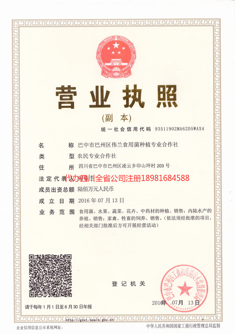 普宁普宁伟兰食用菌种植专业合作社